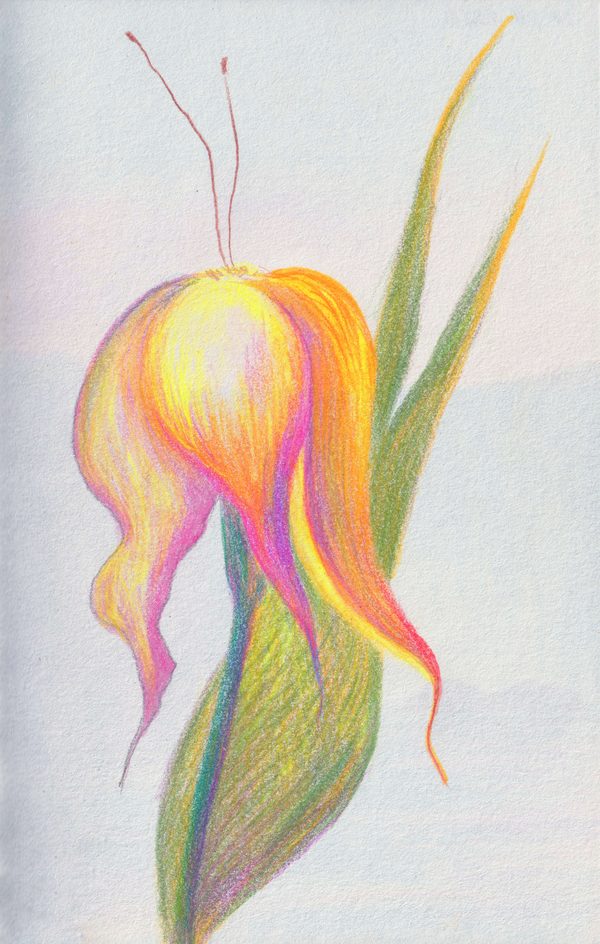 Incomplete Species